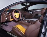Mercedes-Benz C25 by Carlsson 2010 года